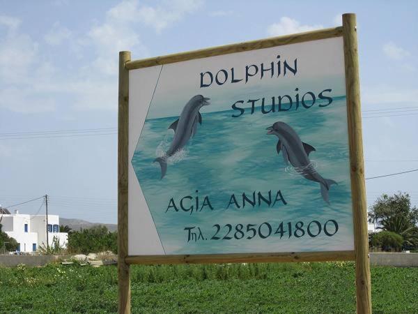 Dolphin Studios Agia Anna (Naxos) Exterior foto