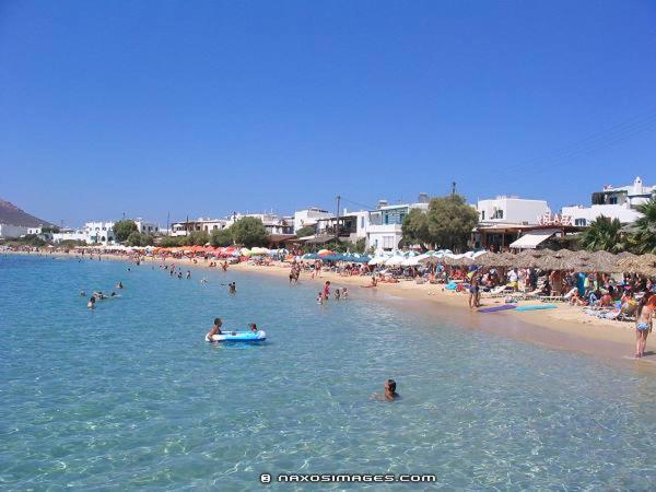 Dolphin Studios Agia Anna (Naxos) Exterior foto