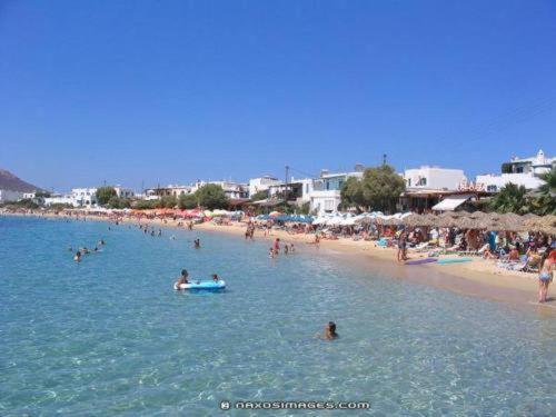 Dolphin Studios Agia Anna (Naxos) Exterior foto