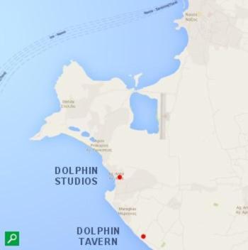 Dolphin Studios Agia Anna (Naxos) Exterior foto