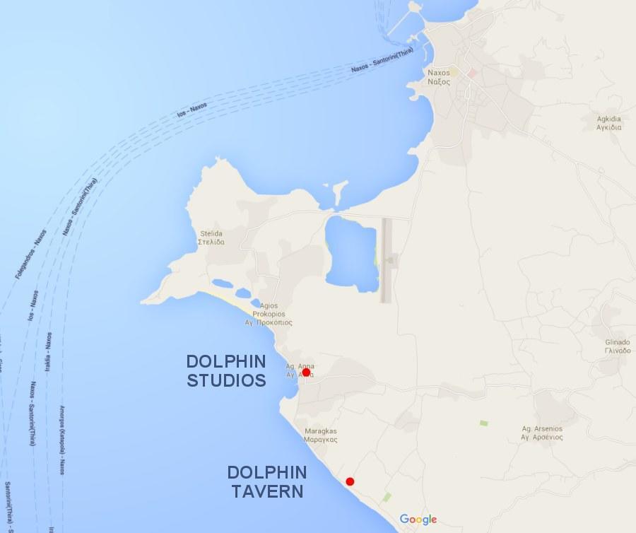 Dolphin Studios Agia Anna (Naxos) Exterior foto