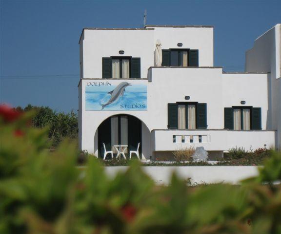 Dolphin Studios Agia Anna (Naxos) Exterior foto